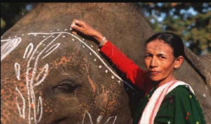 Parbati Baruah India's first female elephant mahout gets Padma Shri