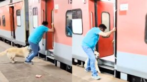 Dog viral video (1)